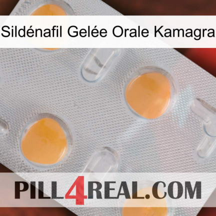 Sildénafil Gelée Orale Kamagra 24